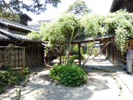 画像48